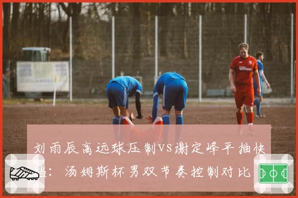 刘雨辰高远球压制vs谢定峰平抽快挡：汤姆斯杯男双节奏控制对比