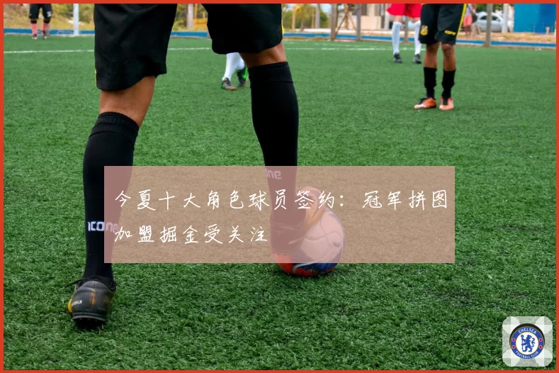 今夏十大角色球员签约:冠军拼图加盟掘金受关注